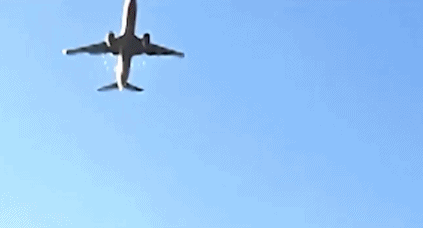 韩知情人士：客机200米高空撞鸟毒气进入机体未及时丢掉燃料(图2)