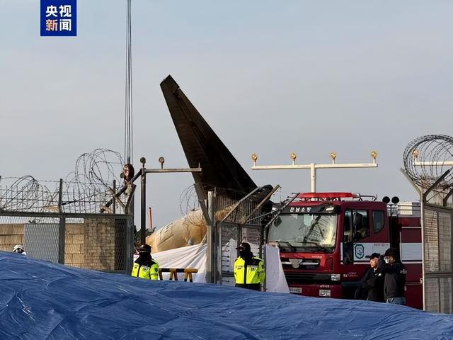 韩知情人士：客机200米高空撞鸟毒气进入机体未及时丢掉燃料(图4)
