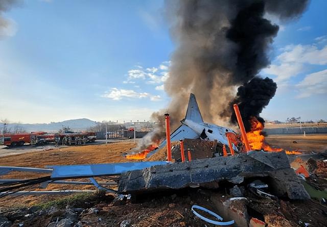 韩知情人士：客机200米高空撞鸟毒气进入机体未及时丢掉燃料(图3)