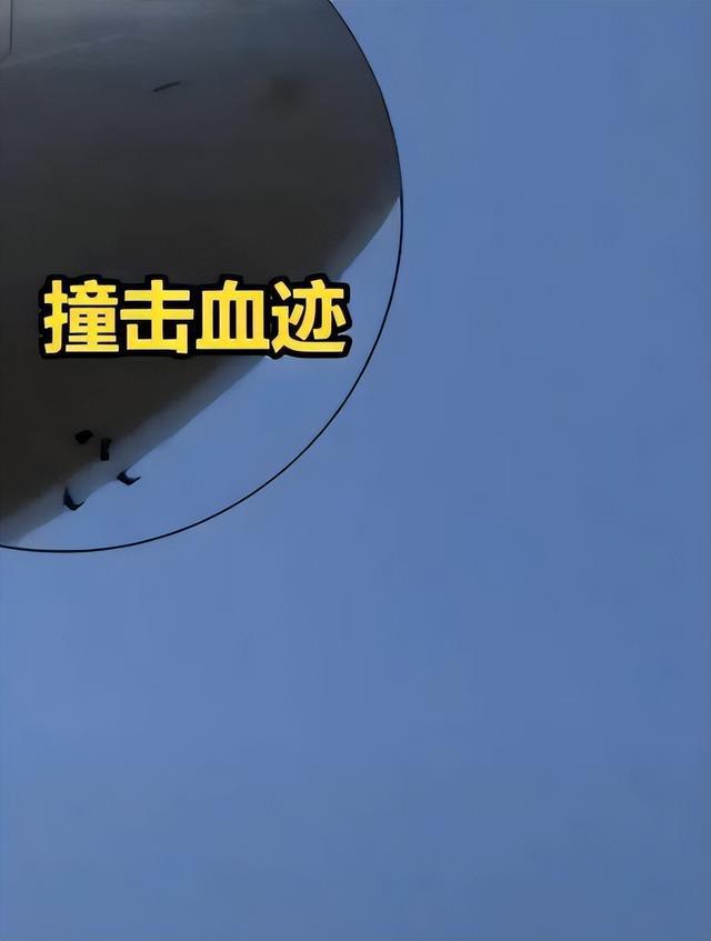 韩知情人士：客机200米高空撞鸟毒气进入机体未及时丢掉燃料(图6)
