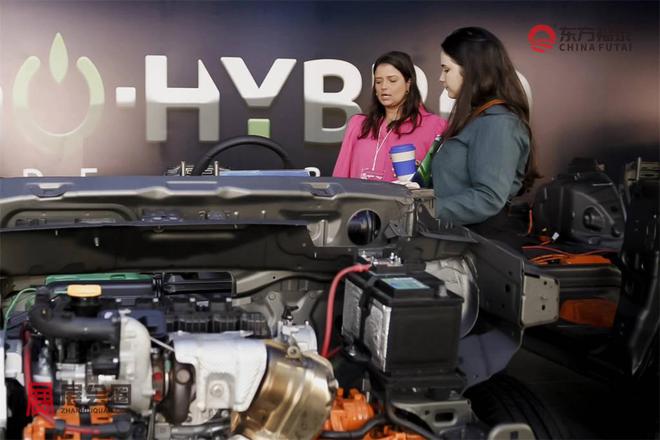 2025年南美巴西充电桩展VEEXPO2025(图9)