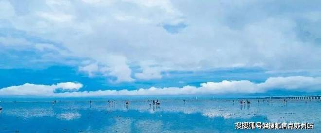 上实听海(2025​上实听海)首页网站-​售楼处欢迎您(图12)