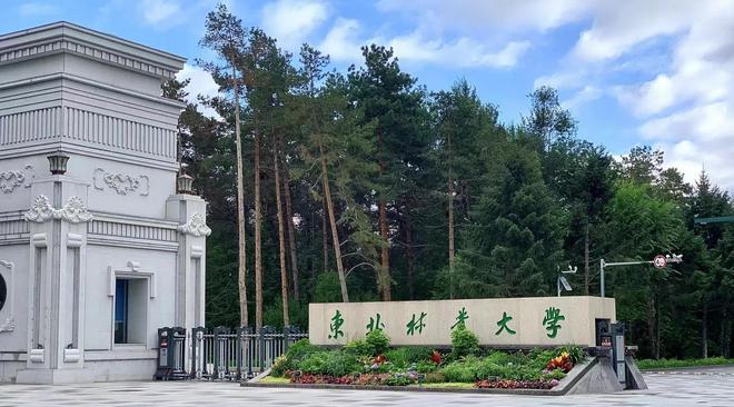 最值得捡漏的三所211大学全部有A+学科录取分数却不高!(图2)
