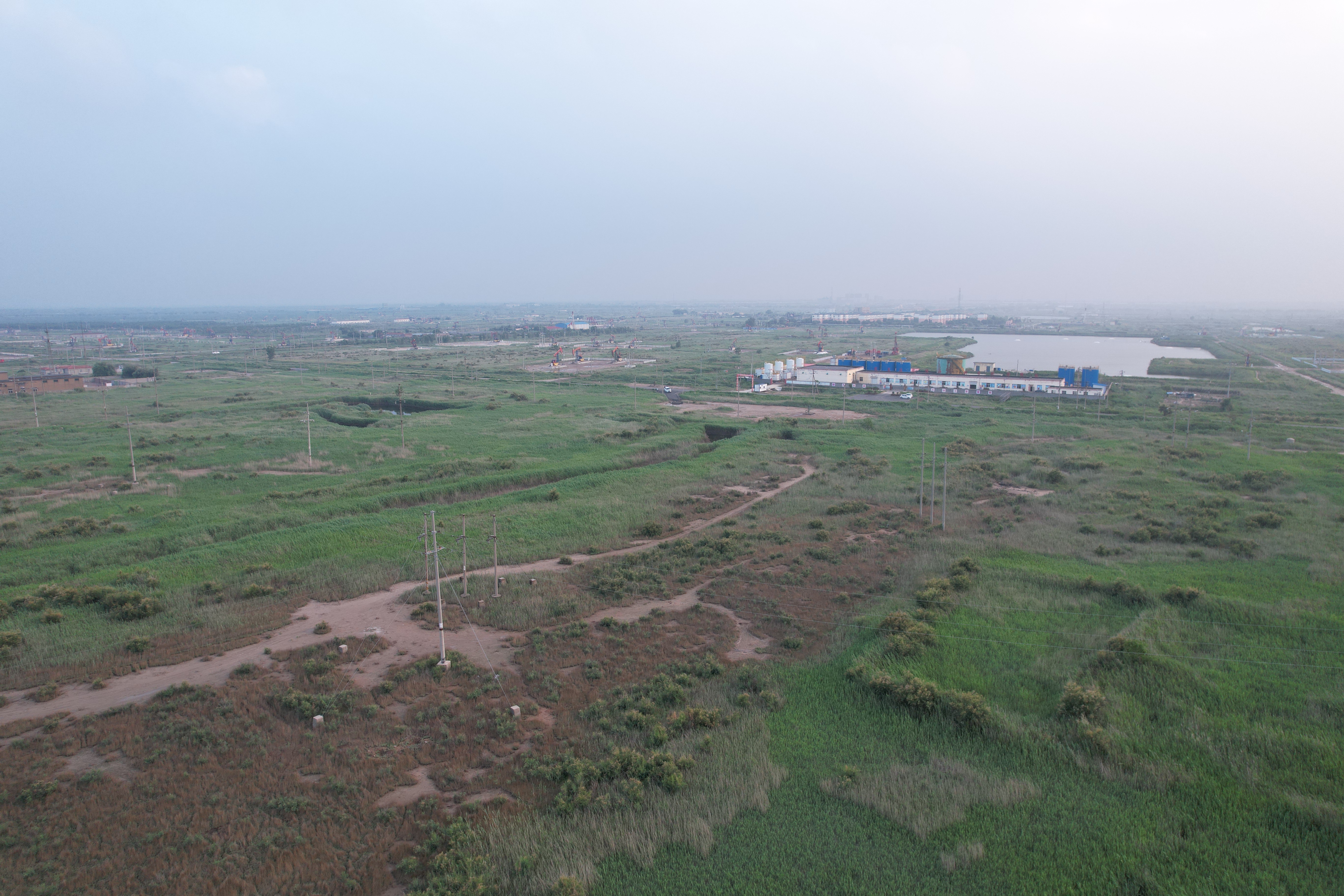 驱动能源绿色变革构建可持续发展典范(图3)