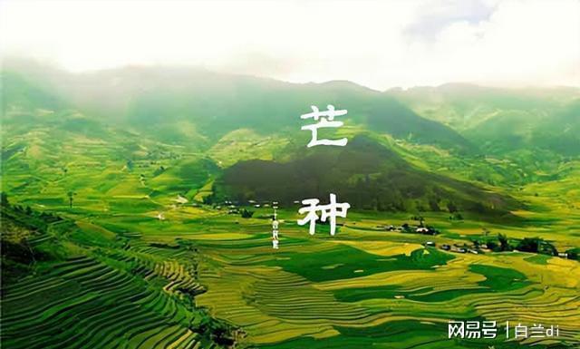 2025芒种60年一遇！4大特点提前知老农急呼早防备(图6)