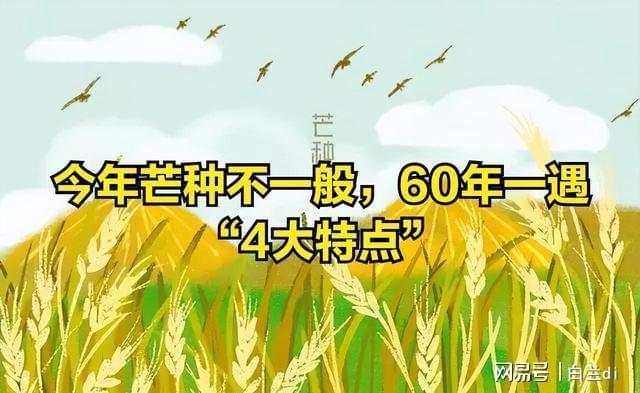 2025芒种60年一遇！4大特点提前知老农急呼早防备(图2)