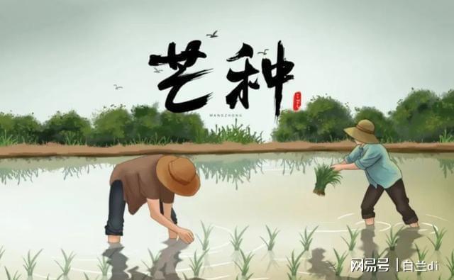 2025芒种60年一遇！4大特点提前知老农急呼早防备(图3)