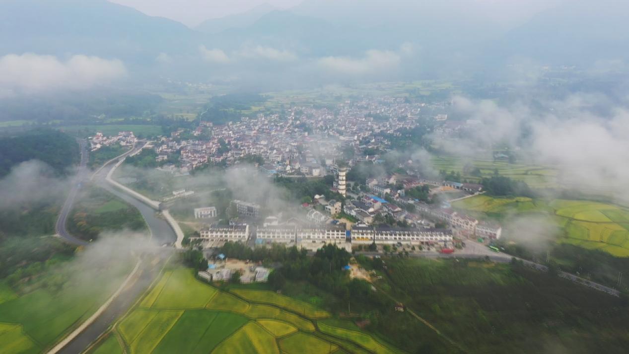 宣城旌德：兴隆特色产业赋能乡村振兴新图景(图1)
