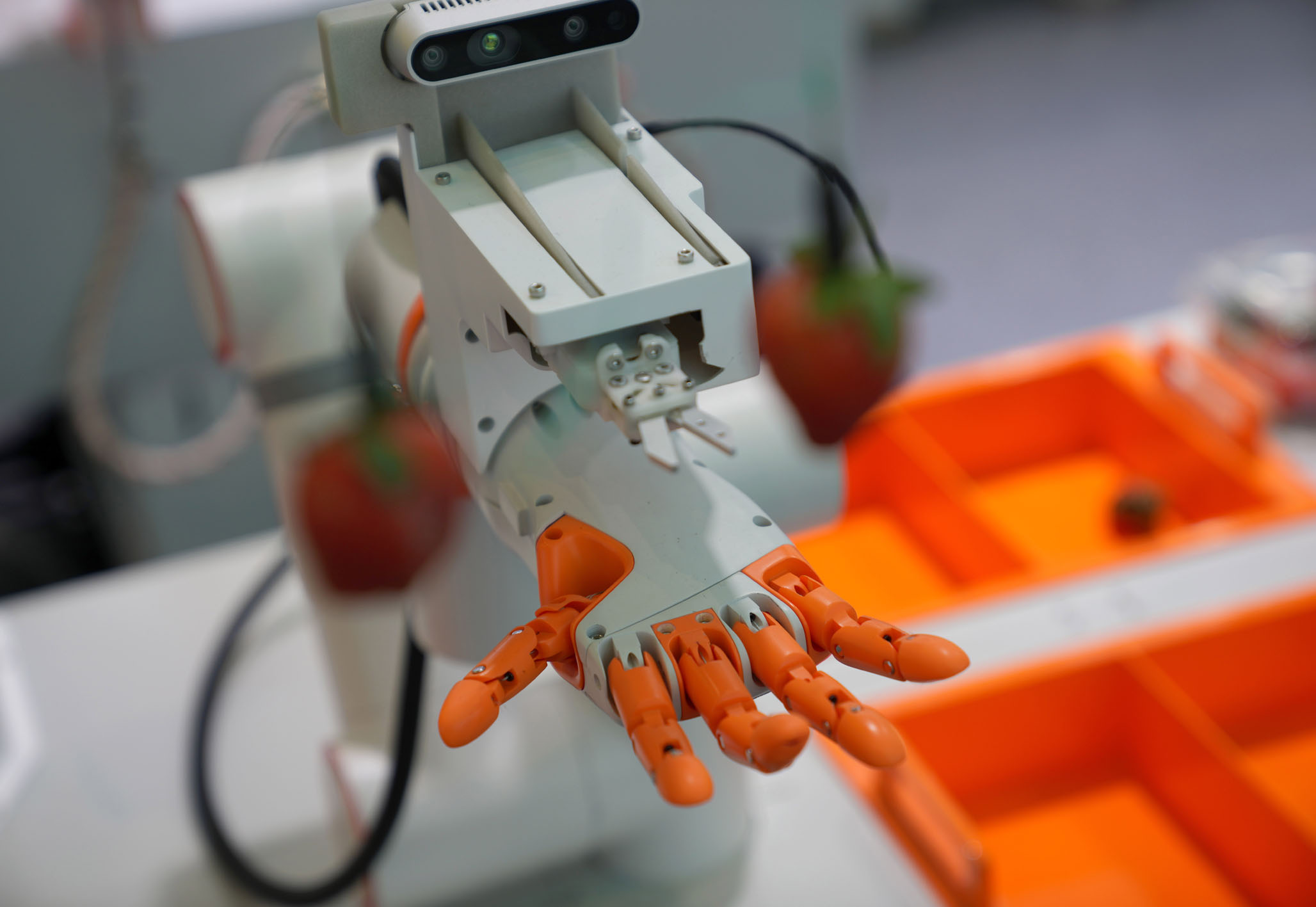 机器人采摘无人机运送科技绘就农业丰收新图景