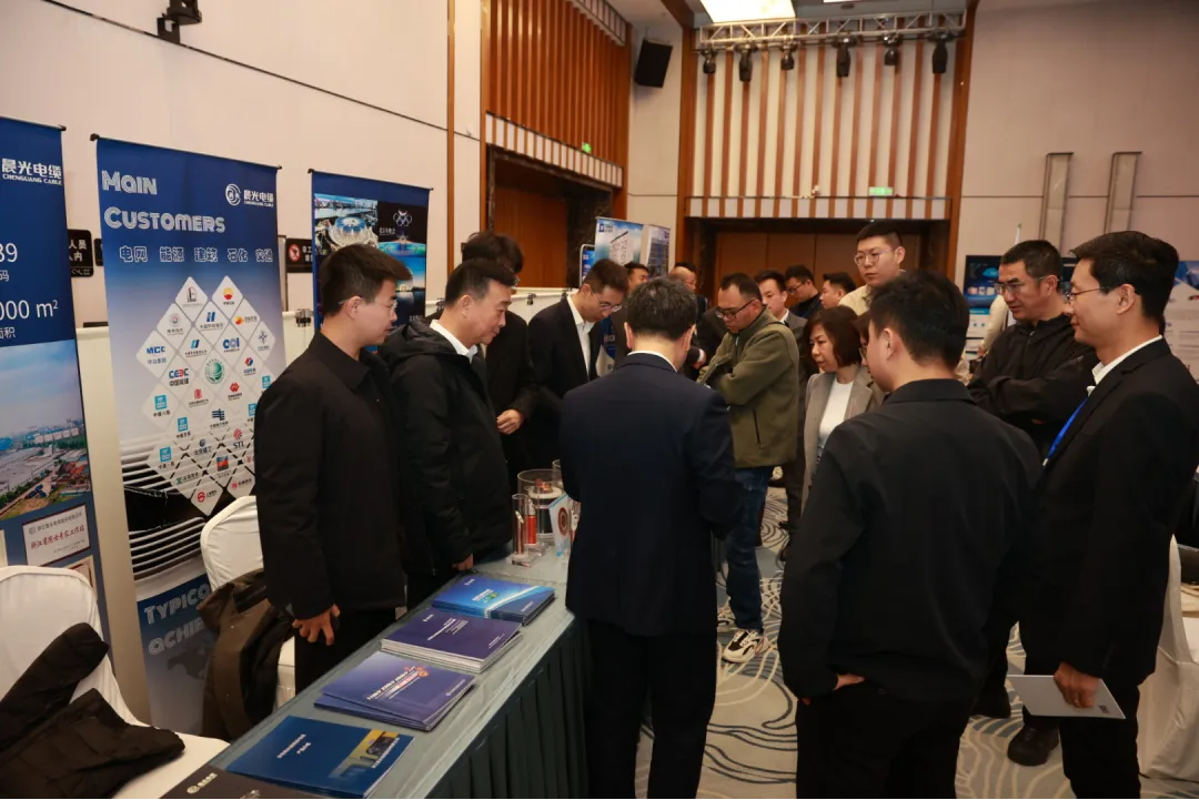 晨光电缆（920639）参加2025年西北论坛及新疆电气年会(图2)