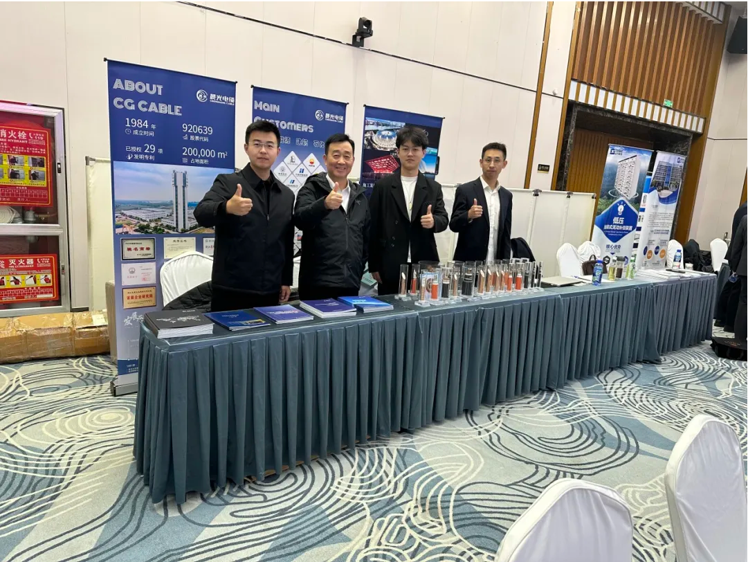 晨光电缆（920639）参加2025年西北论坛及新疆电气年会(图3)