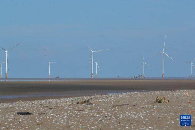 通讯丨中国清洁能源助力亚太绿色发展(图2)