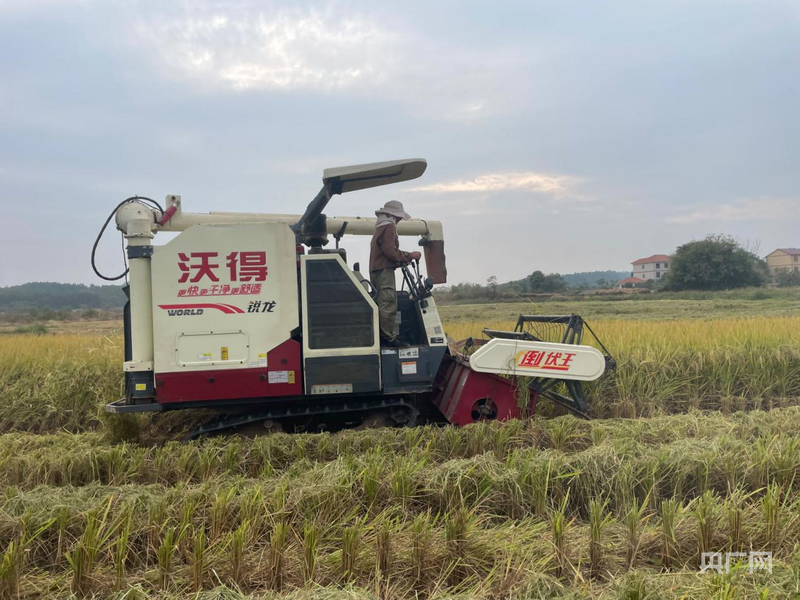 江西吉安县：新农人里的“她力量”(图2)