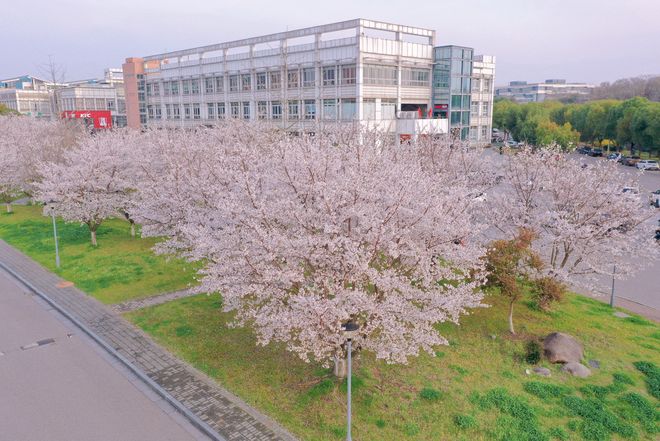 2025年电力行业用人新风向：专业对口比学校牌子更吃香(图5)