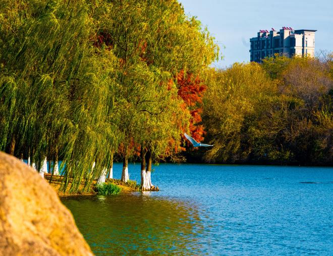 2025年电力行业用人新风向：专业对口比学校牌子更吃香(图2)