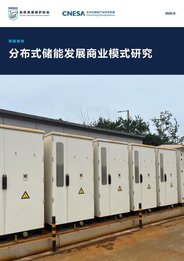 业界：促进分布式储能多元化和市场化发展