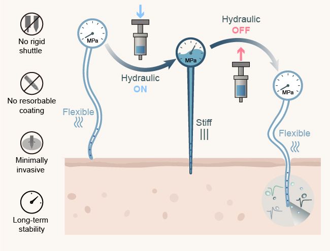 像章鱼触手一样的神经探针科技前线