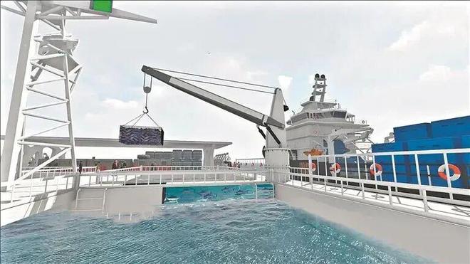 解锁广州海洋牧场黑科技！发电养殖全搞定(图5)