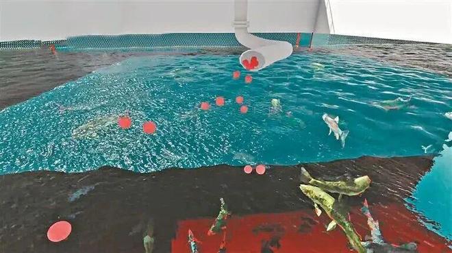 解锁广州海洋牧场黑科技！发电养殖全搞定(图4)