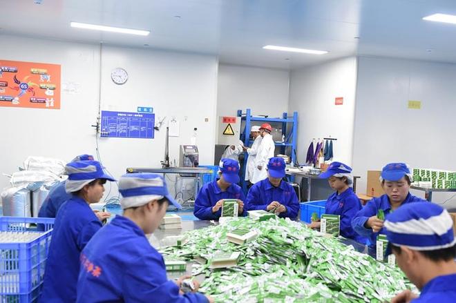 贵州电网公司为“梵净抹茶”香飘世界保驾护航(图2)