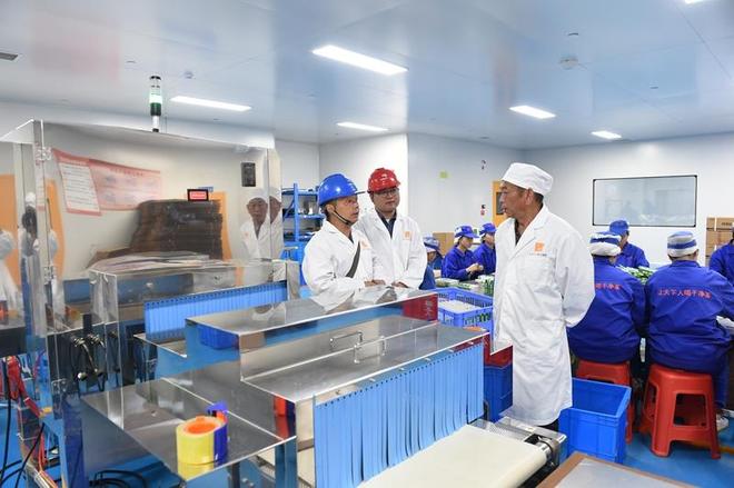 贵州电网公司为“梵净抹茶”香飘世界保驾护航(图3)